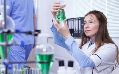 Researcher careers across borders: supporting careers beyond academia